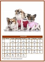 January 2019 calendar of serie 'dogs'