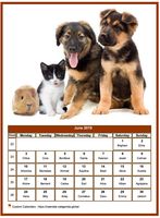 June 2019 calendar of serie 'dogs'