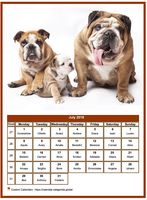 July 2019 calendar of serie 'dogs'