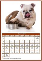 September 2019 calendar of serie 'dogs'