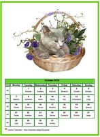 October 2019 calendar of serie 'cats'