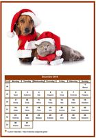 December 2019 calendar of serie 'dogs'