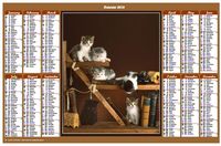 Annual 2019 calendar with cats