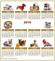 Annual 2019 calendar with 10 pictures of dogs