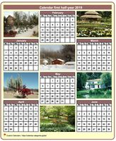 2019 half-year calendar with a different photo each month