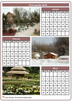 2019 quarterly calendar with one photo per month