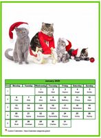January 2020 calendar of serie 'cats'