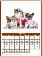 January 2020 calendar of serie 'dogs'