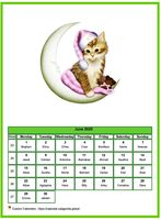 June 2020 calendar of serie 'cats'