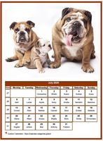 July 2020 calendar of serie 'dogs'