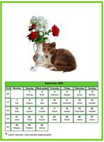September 2020 calendar of serie 'cats'