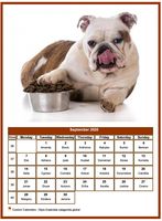 September 2020 calendar of serie 'dogs'