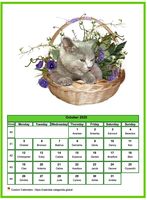 October 2020 calendar of serie 'cats'