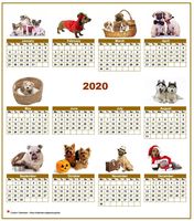 Annual 2020 calendar with 10 pictures of dogs