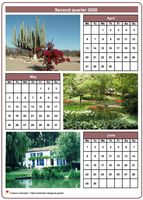 2020 quarterly calendar with one photo per month