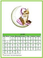 June 2021 calendar of serie 'cats'