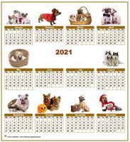 Annual 2021 calendar with 10 pictures of dogs