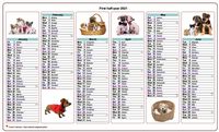 Semi-annual calendar 2021 dogs