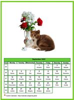 September 2022 calendar of serie 'cats'