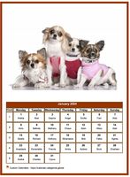 January 2024 calendar of serie 'dogs'