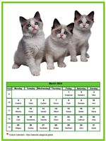March 2024 calendar of serie 'Cats'