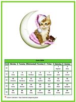 June 2024 calendar of serie 'Cats'