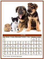 June 2024 calendar of serie 'dogs'