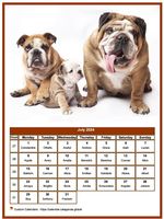 July 2024 calendar of serie 'dogs'