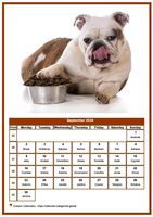September 2024 calendar of serie 'dogs'