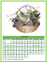 October 2024 calendar of serie 'cats'