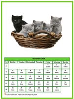November 2024 calendar of serie 'Cats'