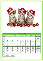 December 2024 calendar of serie 'Cats'