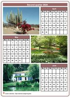 2024 quarterly calendar with one photo per month