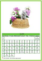 July 2006 calendar of serie 'cats'
