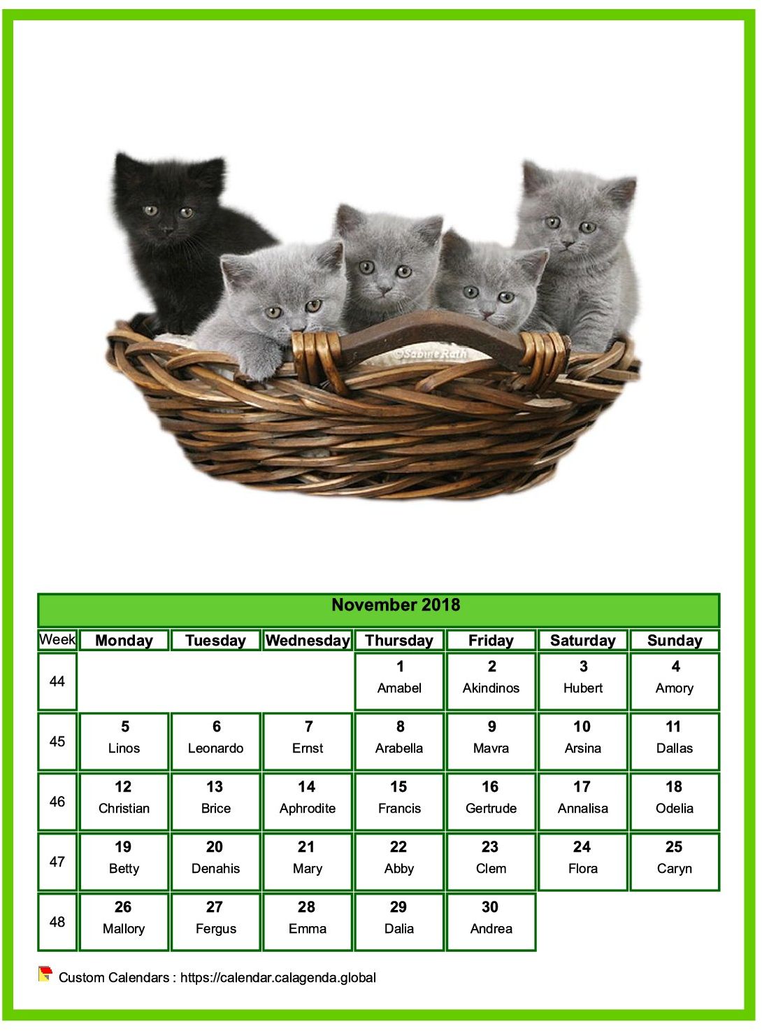 Calendar November 2018 cats