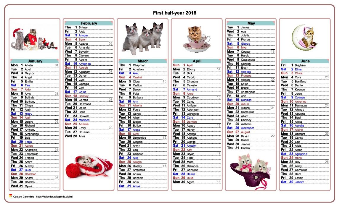 Calendar 2018 half-year cats