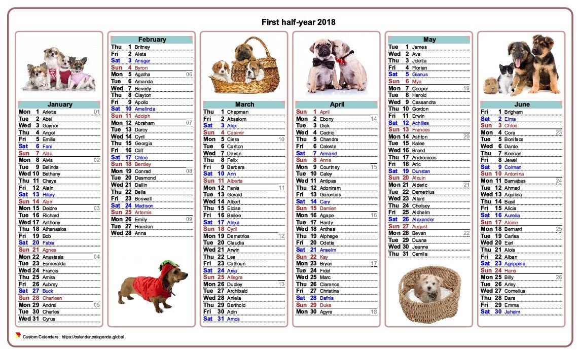 Calendar 2018 half-year dogs