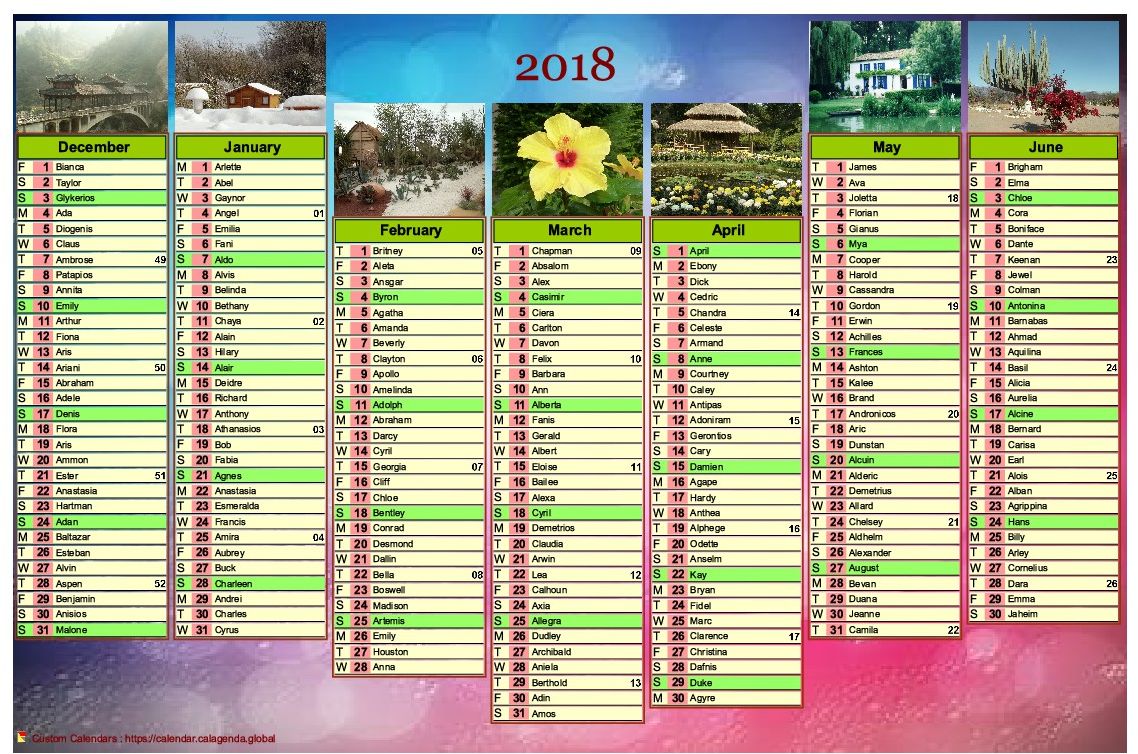 Calendar 2018 of seven months with photos