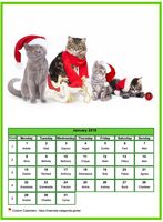 January 2018 calendar of serie 'Cats'