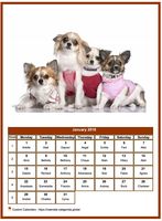 January 2018 calendar of serie 'dogs'