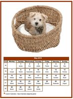May 2018 calendar of serie 'dogs'