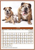July 2018 calendar of serie 'dogs'