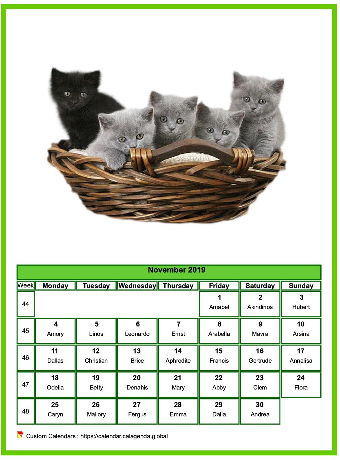 Calendar november 2019 cats