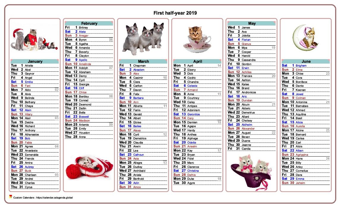 Calendar 2019 half-year cats