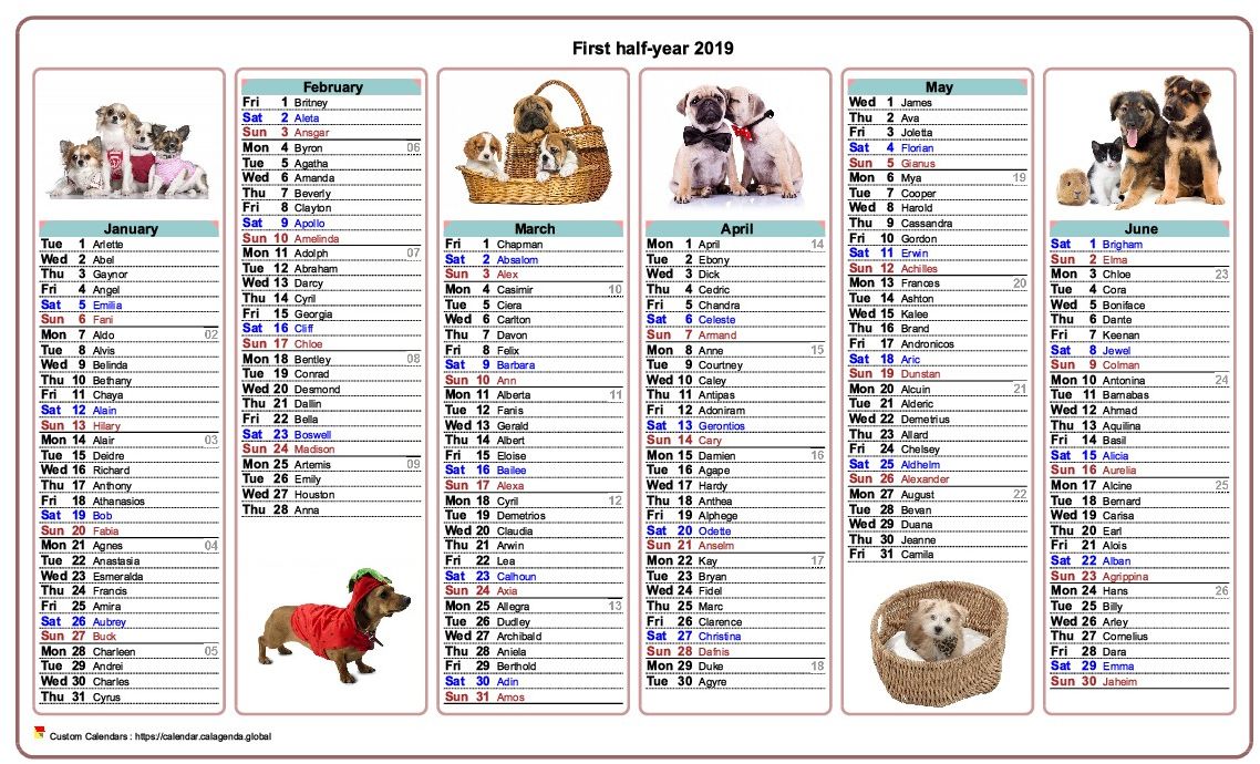 Calendar 2019 half-year dogs