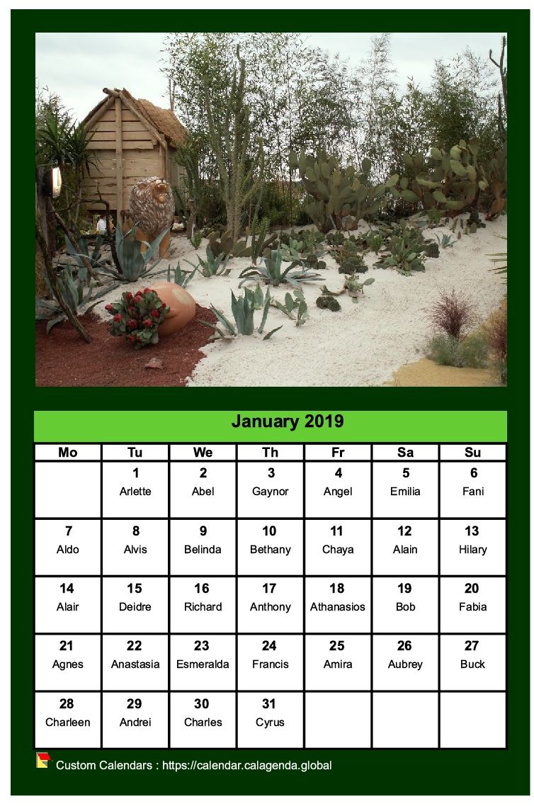 Calendar monthly 2019 with a different photo every month