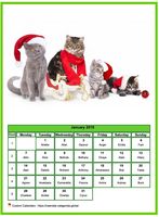 January 2019 calendar of serie 'Cats'