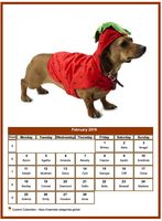 February 2019 calendar of serie 'dogs'