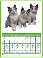 March 2019 calendar of serie 'Cats'