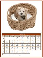 May 2019 calendar of serie 'dogs'